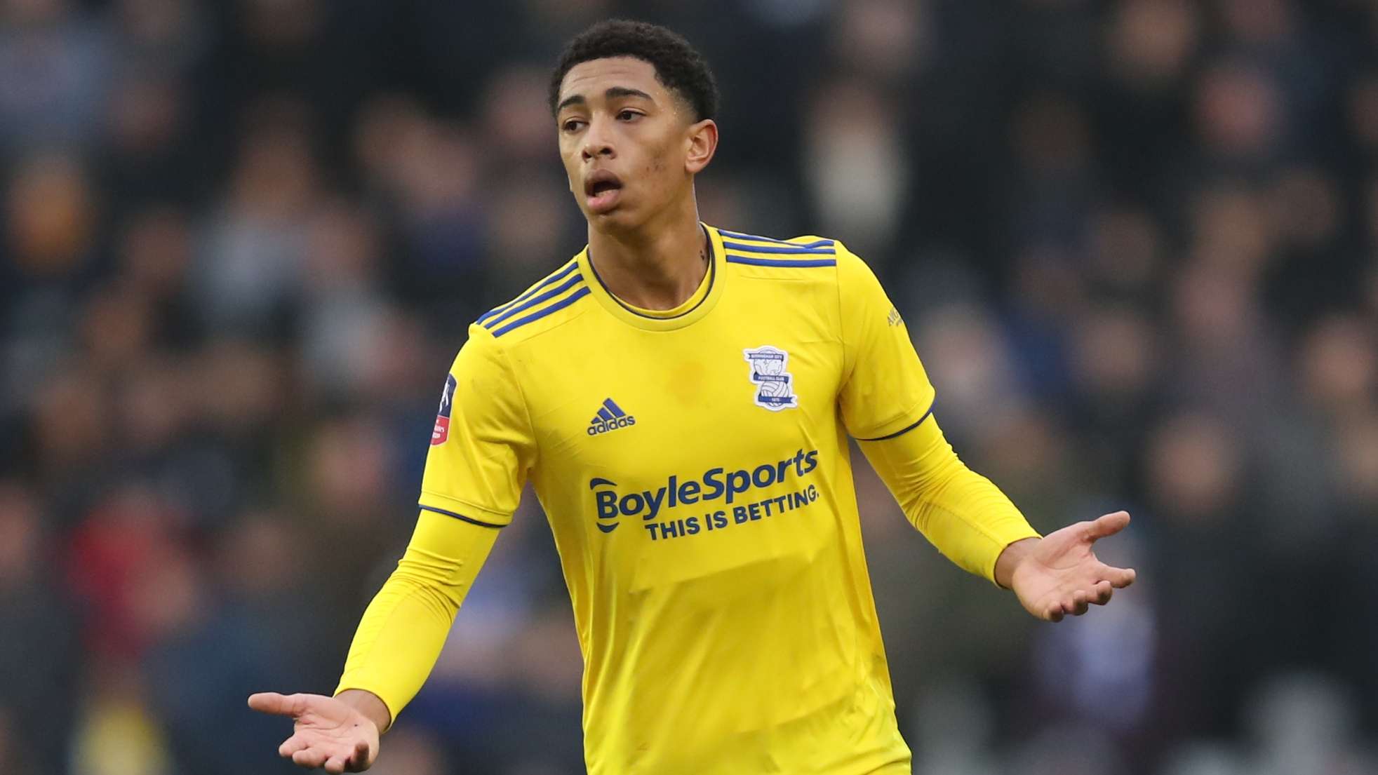 馈直接影响 馈直接影响